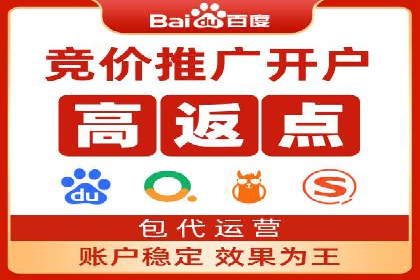 百度竞价代理操作手册：成功案例分析